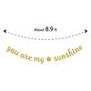 Dalaber You are My Sunshine Party Banner -Wedding, Birthday, Baby Shower Party Decorations - Kids Boys Girls Birthday Party Supplies