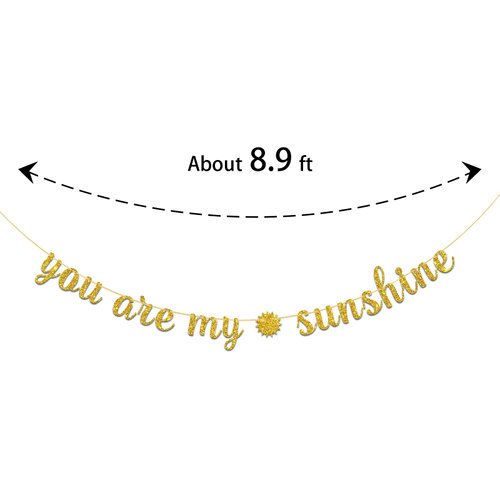 Dalaber You are My Sunshine Party Banner -Wedding, Birthday, Baby Shower Party Decorations - Kids Boys Girls Birthday Party Supplies