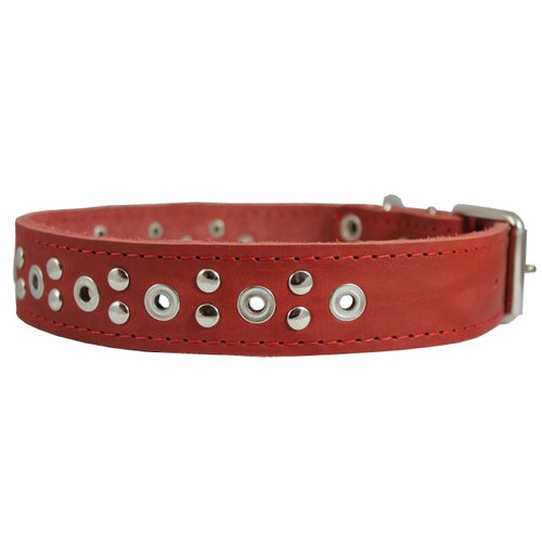 Genuine Leather Studded Dog Collar 22"x1" Red Fits 15"-19.5" Neck