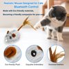 Cat Toys APP Bluetooth Smart Cat Mouse Toys Electronic Interactive Hunting Cat Toy for Indoor Mice Toys Automatic Moving Remote Control Cat Toy Exercise Cat for Bored Indoor USB Rechargeable（Gray）