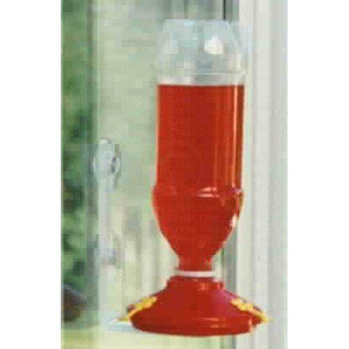 Gold Crest Window Hummingbird Feeder