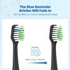 Replacement Toothbrush Heads Black