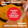 Organic Apple Cider Vinegar Capsules with Tumeric and Ginger for Joint Health, Metabolic & Digestive Support. 60 ACV Capsules. Turmeric Apple Cider Vinegar Supplements Made in the USA. Vegan & Non-GMO