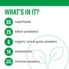 Vibrant Health, Green Vibrance, Vegan Superfood Powder, Boost Energy, 60 Servings