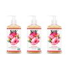 South Of France Climbing Wild Rose Clean Hand Wash Clean Body Care | Moisturizing Liquid Hand Soap with Mediterranean Sea Algae | 8 oz Pump Bottle – 3 Pack
