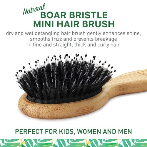 Natural Boar Bristle Hair Brush mini size, portable, easy carry for Women, Men, Kids; Dry and Wet Detangling Hair Brush Gently Enhances Shine, for Fine and Straight, Thick and Curly Hair
