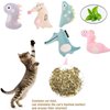 JinRui-T 5PCS Catnip Cat Toys for Cats Catnip Toys for Indoor Cats Soft Plush Chew Pet Cat Toys with Catnip Interactive Cat Teething Chew Toy Catnip Filled for Kittens Kitty (Animal Theme)