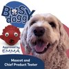 Busy Doggy Whoa Fish, Treat Dispenser Toy, Interactive Dog Toy
