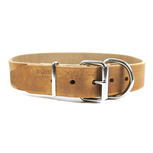 Dean and Tyler "B and B", Basic Leather Dog Collar with Strong Nickel Hardware - Tan - Size 38-Inch by 2-Inch - Fits Neck 36-Inch to 40-Inch