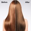 Light Brown Hair Dye Shampoo 3 in 1 for Gray Hair, Long-lasting & Natual Hair Color Shampoo, Instant Hair Dye for Men Women, Effect in Minutes 16.9 Fl Oz(Light Brown)