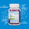 Mommy's Bliss Kids Elderberry Gummies, Supports Immunity with Black Elderberry, Zinc & Vitamin C, Gluten Free & Vegan, Age 2 Years+ (60 Count)