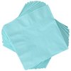 Robin's Egg Blue 2-Ply Dinner Napkins | Pack of 20 | Party Supply