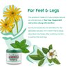 PhysAssist Soothing Foot Cream to Feet and Legs (Three - 4 oz jars) Soothing to feet and Legs.