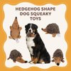 Pilipane Plush Dog Toy, Hedgehog Dog Squeaky Toy, Soft Animal Plush Dog Toothbrush Chew Toy, Interactive Squeaky Hide and Seek Plush Dog Toy,Stuffed Biting Training Playing Toys for Pet Puppy Chewers