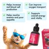 Liquid Iron Supplement for Cats & Dogs B12 + B-Complex + Probiotics Liquid Iron Vitamin Drops for Anemia & Low Energy Promotes Red Blood Cell Health All Ages & Breeds Bacon Flavor 4 oz
