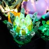 Lighting Kit for Succulents 10309 Building Decor, Decoration LED Lights for Lego 10390 Building Blocks Model (Not Include The Lego Set)