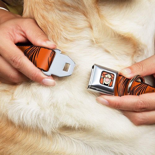 Dog Collar Seatbelt Buckle Tigger Stripes Orange Black 9 to 15 Inches 1.0 Inch Wide