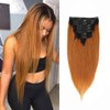 Ombre Clip in Hair Extensions Straight Human Hair 140g 100% Human Hair 8Pcs Total of 18 Clips #1B/30 Brown Hair Extensions for Black Women Hair (22 Inch, 1B/30 Brown）