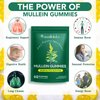 Mullein Gummies for Lungs, 2000mg Mullein Leaf Herb Extract, Organic Mulleins Gummies for Lung Cleanse, Support Respiratory Digestive Immune System, 60pcs