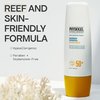 Physiogel Daily Moisture Therapy Barrier Mineral Sunscreen Broad Spectrum 50 | Water Resistant & Safe for Sensitve Skin | Strenghten Skin Barrier | Reef Friendly, Paraben-Free, Dermatologically Tested