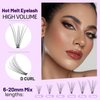 Bodermincer 240 Bundles D Curl 10D 0.1mm Thickness Individual Eyelash Extensions eyelashes Cluster Lashes Natural False Eyelashes Bundles (12mm)