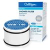 Culligan WHR-140 WTR FiltrationCartridge Shower Filter Replacement Cartridge, 1 Count (Pack of 1), White