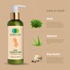 NATURE-O-CARE Hair Conditioner with Neem & Aloe Vera Extracts - 200ml, Reduces Hair Fall, Strengthens Hair, Moisturises Scalp, Reduces Itchiness, Thick and Strong Hair, Glossy Finish