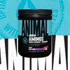 Animal Juiced Amino Acids - BCAA Powder EAA Matrix Plus Hydration with Electrolytes and Sea Salt Anytime Recovery and Improved Performance, Grape Flavor, 30 Servings