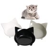 Skrtuan Cat Bowl Cat Food Bowls Non Slip Dog Dish Pet Food Bowls Shallow Water Bowl Cat Feeding Wide Bowls to Stress Relief of Whisker Fatigue Pet Bowl of Dogs Rabbits Puppy(Safe Food-Grade Material)