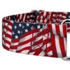 Country Brook Petz - Patriotic Tribute Martingale Dog Collar - Americana Collection with 4 Patriotic Designs (1 1/2 Inch, Medium)