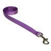XSmall Purple Nylon Webbing Dog Leash: 1/2" Wide, 4ft Length - Made in USA.
