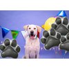 BIEUFBJI 4 Pcs Dog Paw Balloons Grey Dog Print Foil Balloons Pets Dog Party Themed Baby Shower Pets Birthday Kids Party Dog Paw Balloons Props Decorations Supplies
