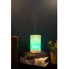 Elanze Designs A Mother's Love Bereavement Sentiment Frosted 8 Color LED Light Essential Oil Diffuser
