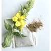 Mullein Leaf Tea - by Palm Beach Herbals, 30 Count Tea Bags, Caffeine-Free | Pure Herbal Tea Series