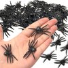 Plastic Spiders, 30Pcs Small Fake Spiders, Halloween Spiders, Realistic Mini Spider, Tiny Spiders Bulk, Black Toy Spiders, Rubber Spiders, Prank Toys, Plastic Insect Toy for Halloween Decorations