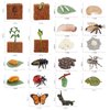 20 PCS Insect Animal Life Cycle Model Figure Plant Spider Bee Butterfly Figurines Ornament Cake Toppers Party Favors Supplies Cognitive Toy for Boys Girls Kids