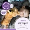 Warm Pals - Bear Hugs - 1.5lbs - Cozy Microwavable Lavender Scented Plush Toys - Heated Stuffed Animal - Heatable Coolable Bedtime Comfort Plushie