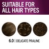 Schwarzkopf Keratin Color Permanent Hair Color, 6.0 Delicate Praline,1 Application-Professionally Inspired Permanent Hair Dye,for up to 80% Less Breakage vs Untreated Hair and up to 100% Gray Coverage