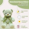 VYUSIT Green Teddy Bear Stuffed Animals 13.4" Soft Cuddly Stuffed Plush Teddy Bear Cute Plush Toys for Birthday Christmas New Year Valentine’s Day Wedding Party