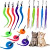 TIENAILING Cat Worm Toy Refills Cat Toys Wand Replacement, 15 Pieces Cat Worms Refill, Worm Cat Toy Attachment for Cat Wand