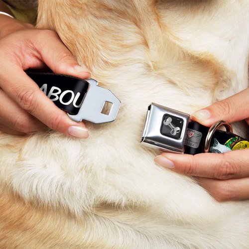 Dog Collar Seatbelt Buckle Taco Cat I Dont Want to Taco Bout It 18 to 32 Inches 1.5 Inch Wide