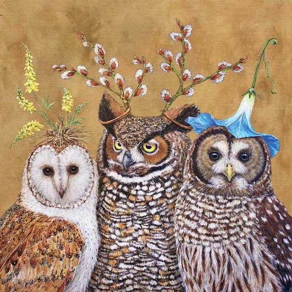 Paperproducts Design Decorative Beverage Paper Napkins – Tabletop Disposable Kitchen Cocktail Napkin – For Lunch, Dinner, Birthdays, Parties, Celebrations – Set of 20, Vicki Sawyer Owl Family Design