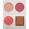 Pink Dust Everything Eyeshadow Palette Makeup - Eyeshadow Palette with 9 Eyeshadows, 2 Blushes, Bronzer, and Highlighter - Colorful, Long-Lasting, and Pigmented Eyeshadow Palettes for Girls