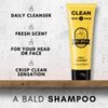 Bee Bald CLEAN Daily Cleanser for Face and Head, Premium Facial Cleanser for Men and Women, Refreshes and Thoroughly Cleans (4 fl Oz)