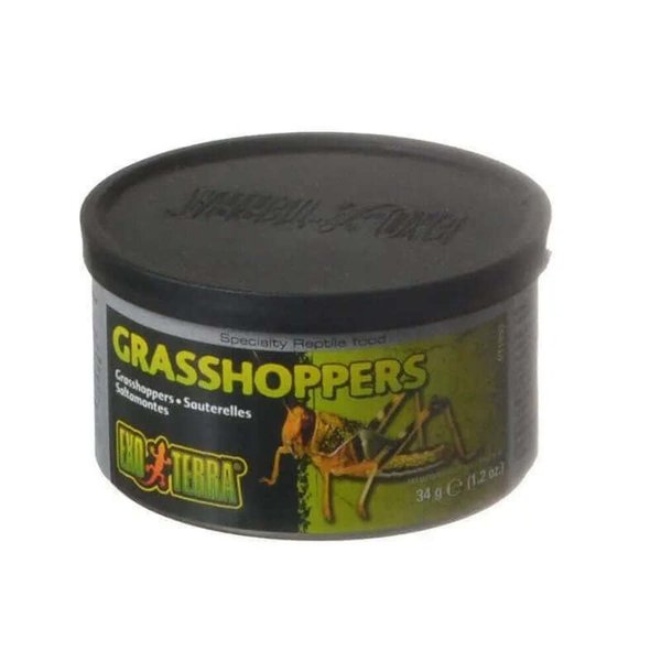 Exo Terra Specialty Reptile Food, Canned Grasshoppers for Reptiles