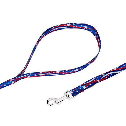Country Brook Petz - 1/2 Inch Star Spangled Dog Leash - 6 Feet