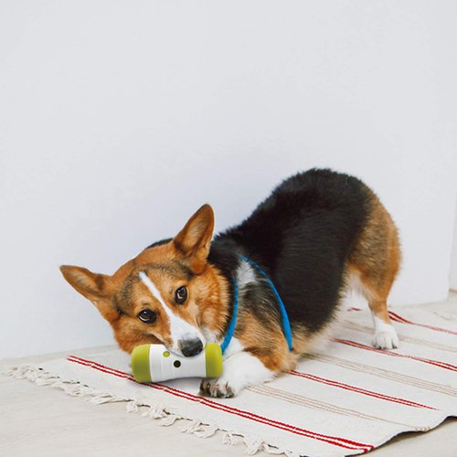 ALL FOR PAWS Dog Treat Roll Interactive Dog Treat Dispenser Durable Dog Chew Toy Balland Tooth Cleaning Toy