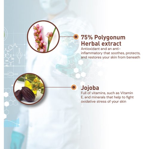 Moraz Day Cream for Normal to Oily Skin - Face Moisturizer - Moisturizer Face Cream with Polygonum, Jojoba - Rejuvenating Facial Moisturizer - 1.7 oz