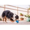 Outward Hound by Planet Dog Guru Treat-Dispensing Puzzle Ball Dog Toy, Blue