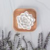 Plant Therapy Passive Lotus Flower Aromatherapy Diffuser - A Chic and Natural Home, Office, and Travel Essential Oil Diffuser